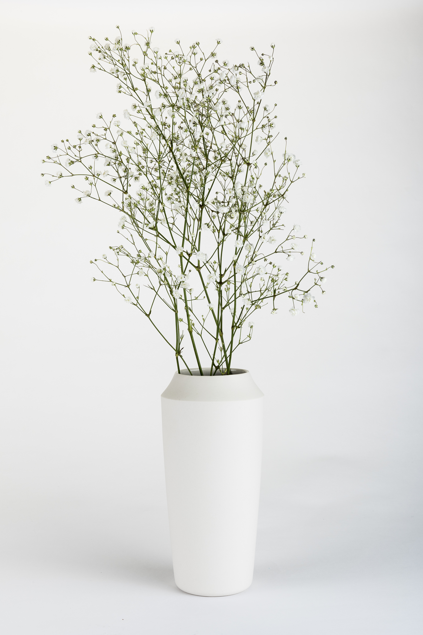 vase – mojo jojo